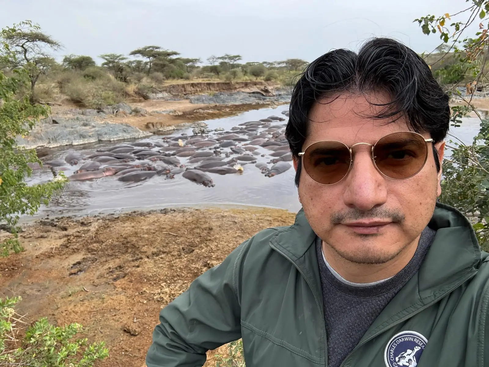 Hippo Sightings in Tanzania: American guest enjoys exceptional safari sightseeing